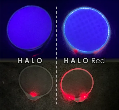 Disc in the Dark Halo Red